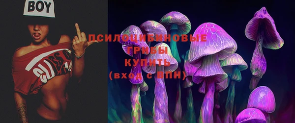 прущая мука Костерёво