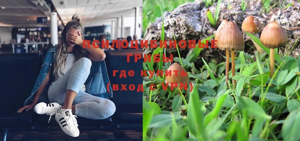 прущая мука Костерёво