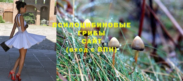 прущая мука Костерёво