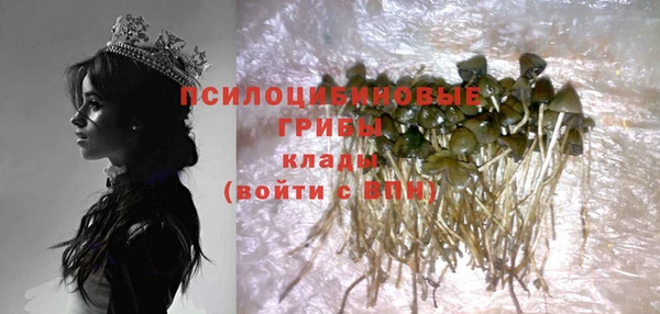 ПСИЛОЦИБИНОВЫЕ ГРИБЫ Коряжма